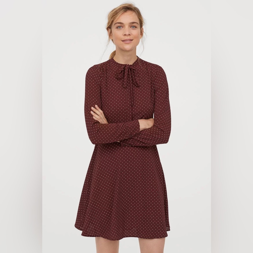 H&M Maroon Polka Dot Dress